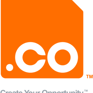 خرید دامنه .CO