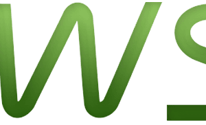 خرید دامنه .ws