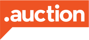 خرید دامنه .auction