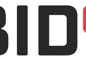 خرید دامنه .bid